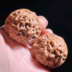 May include: Two brown, intricately carved walnut shells are held in a hand. The shells have a textured, porous surface with a network of small holes and ridges. The background is a dark, blurred gradient.