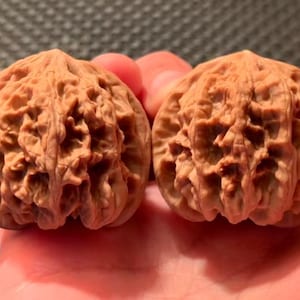 Collector's Grade wild bison ye niu Lion head Wenwan walnut Walnuts 39mm - Pair YN003 - Hand Exerciser Meditative Tool - Wood Fidget Toy