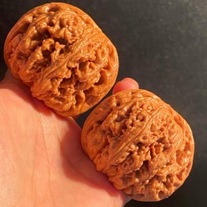 以下が含まれることがあります： 表面に深く複雑な隆起と溝がある、明るい茶色で丸い質感のクルミの殻が2つ。殻は自然で有機的な外観をしており、硬い木質の外装と複雑な模様が特徴です。