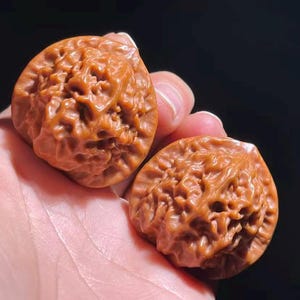May include: Two intricately carved walnut shells with a rich, reddish-brown hue are held in a hand. The shells have a detailed, textured surface, showcasing the natural patterns of the wood. The background is dark, emphasizing the carved walnuts.