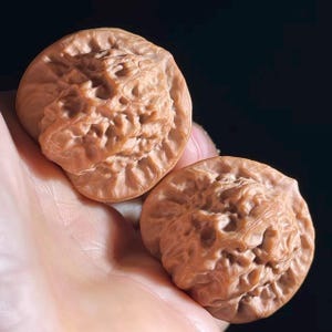 Collector's Grade Porcelain Doll Ci Wa Wa Wenwan walnut Walnuts 36.5mm - Pair CWW008 - Hand Exerciser Meditative Tool - Wood Fidget Toy