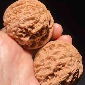 Puede incluir: Dos nueces marrones con superficies texturizadas se sostienen en una mano. Las nueces tienen un color marrón claro y una textura rugosa y arrugada. El fondo es oscuro, resaltando las nueces.