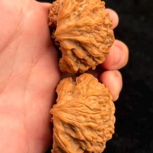 May include: Two halves of a brown walnut, showcasing the intricate, textured surface of the nut. The image highlights the natural patterns and color variations of the walnut shells, with a dark background.