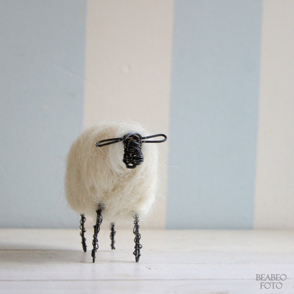 Wired sheep with white wool