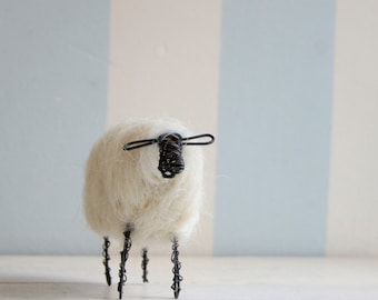 Wired sheep with white wool