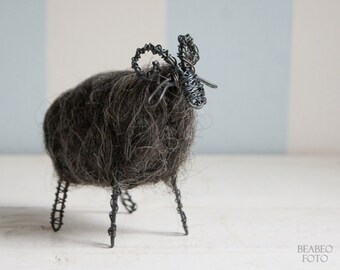 Wired ram with dark wool