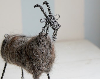 Wired goat with dark wool
