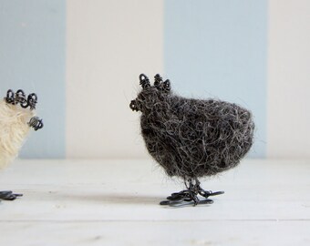 Wired hen with dark wool