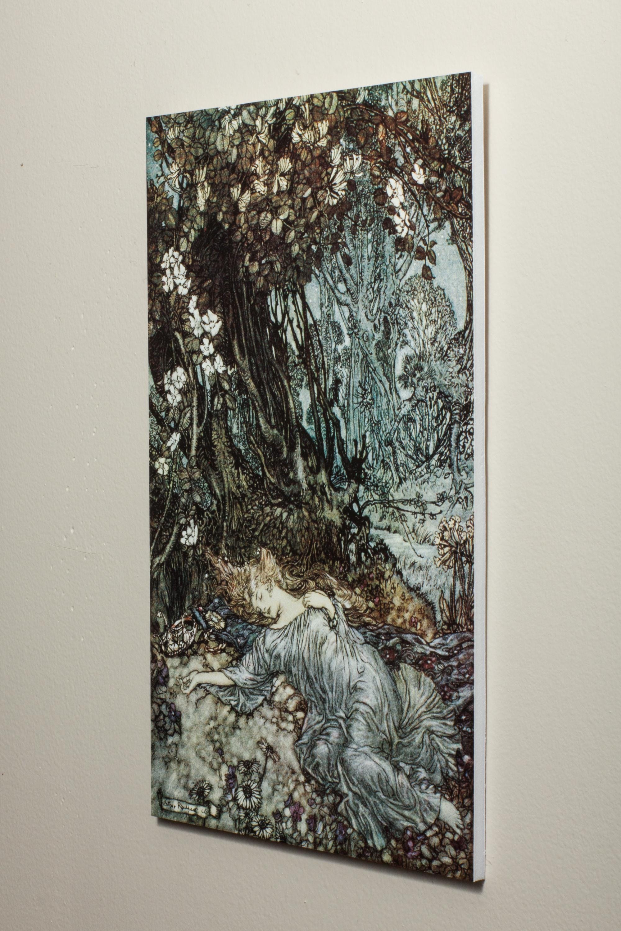 Arthur Rackham Fairy Print | Titania Lying Asleep | Vintage Fairy Art ...