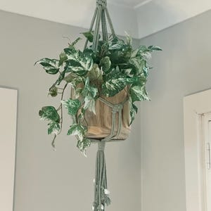 May include: A sage green macrame plant hanger featuring a wooden ring at the top and a wooden pot containing a variegated green and white ivy plant. The hanger includes knotted cord details and a long tassel at the bottom with small white beads.