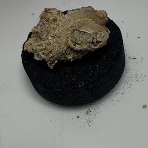 May include: A rough, beige-colored rock formation sits atop a black, circular base. The rock has a textured surface with hints of green and brown. The base appears to be made of a porous material. The background is a plain white surface.