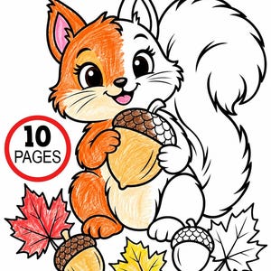 Può includere: Una pagina da colorare che illustra uno scoiattolo che tiene una ghianda, con alcune aree colorate in arancione, giallo e rosso, e altre lasciate come contorni in bianco e nero. Il testo 10 PAGES è visibile in un cerchio rosso.