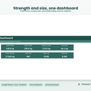 Könnte beinhalten: Eine digitale Dashboard-Oberfläche mit dem Titel Strength and size, one dashboard. Sie zeigt Kraftwerte wie Squat 145.8 kg, Bench 105.0 kg, Deadlift 175.0 kg, OHP 65.2 kg sowie Volumendaten für Total, Chest, Back und Legs in einem dunkelgrünen Design.