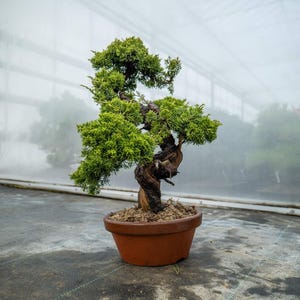 Può includere: Un set di tre tazze in ceramica con finitura opaca e macchiettata. Le tazze sono nei toni del crema, grigio chiaro e grigio scuro. Ogni tazza ha un design semplice e minimalista.