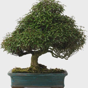 以下が含まれることがあります： 白い文字で「Welcome to our porch」と書かれた素朴な木製の看板。長方形の看板は、古びた外観を連想させる、使い古された仕上げが施されています。小さな装飾的なハートも見えます。