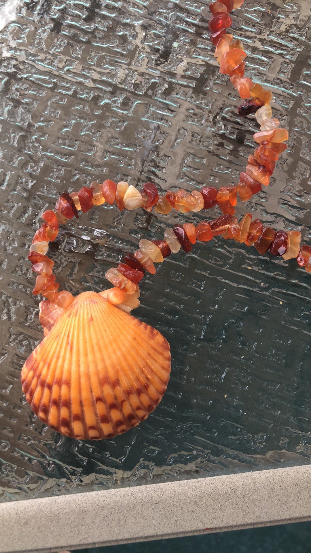 Carnelian and Clam Shell Set - Etsy