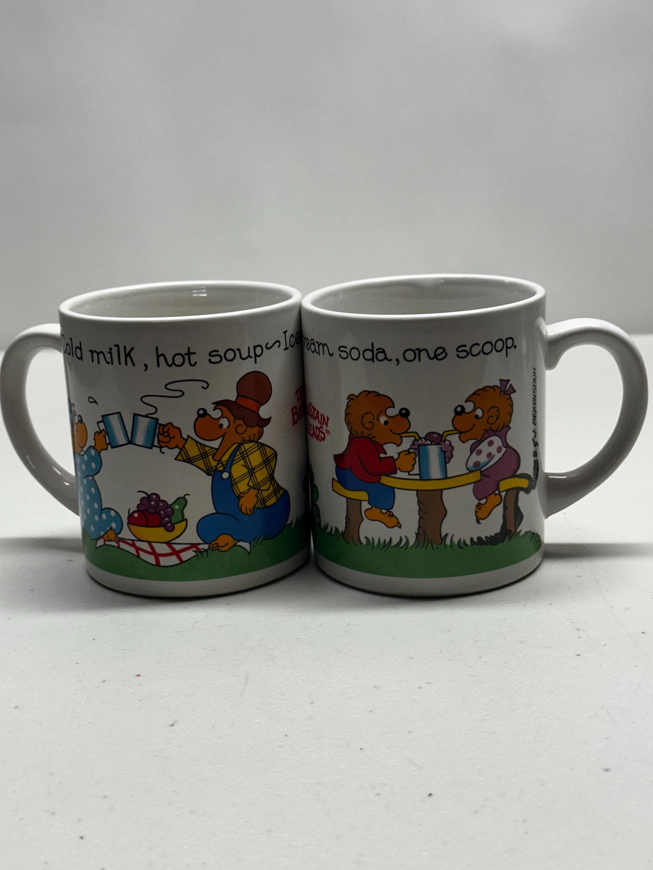 Berenstain Bears Princess House Exclusive - Coffee Mug Cup Set - Etsy