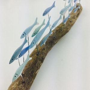Large Blue School of Fish On Driftwood