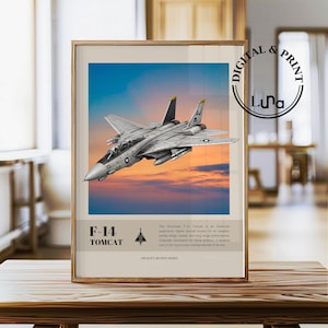 May include: Framed print featuring an F-14 Tomcat fighter jet against a sunset sky. The print includes the text "F-14 Tomcat" and a description of the aircraft. The print is in a gold frame and is labeled "Digital & Print" by Luna.