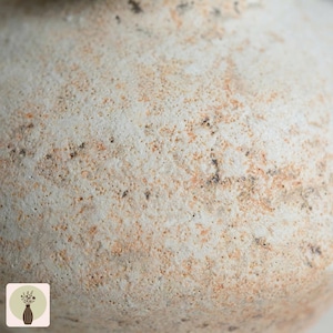 Puede incluir: Primer plano de un jarr&oacute;n de cer&aacute;mica blanco roto texturizado. La superficie tiene un aspecto moteado con peque&ntilde;as manchas marrones oscuras y naranjas. El jarr&oacute;n tiene un aspecto ligeramente rugoso y envejecido.