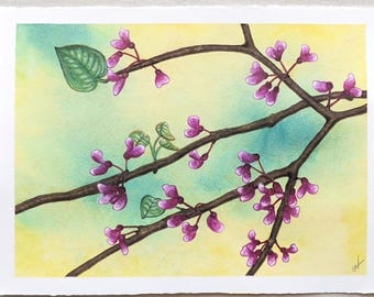 Original Eastern Redbud Painting | 11x15 Floral Wall Art | Watercolor & Colored Pencil Botanical Artwork Unframed
