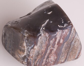 Nice Petrified Wood  Tumble Polished Chunk - Black and White