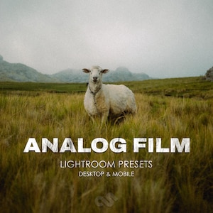 May include: A white sheep stands in a field of tall, dry grass under a cloudy sky. The text "ANALOG FILM" is displayed in large white letters, with "LIGHTROOM PRESETS" and "DESKTOP & MOBILE" below.
