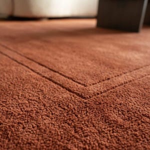 May include: A terracotta-colored area rug with a thick, textured pile and a subtle, recessed border detail that creates a clean, linear frame within the surface. The rug features a uniform, deep earthy tone throughout its entire construction.