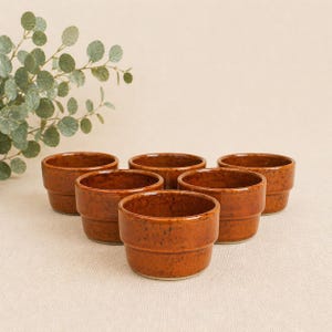 Peut inclure: Six petits pots ronds en céramique marron, à texture mouchetée, sont disposés en groupe. Les pots ont un design étagé et conviennent aux petites plantes ou à des fins décoratives. Une branche de feuilles vertes est en arrière-plan.
