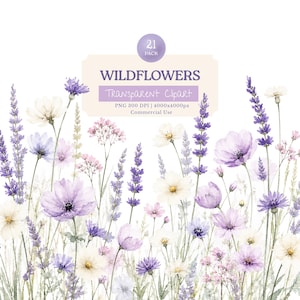 May include: Watercolor illustration of wildflowers in shades of purple, lavender, white, and pink. The image features various flower types, including lavender, cosmos, and daisies, with the text "Wildflowers Transparent Clipart".