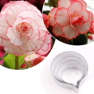 4 Size of Begonia Tuberous Petal Cutter Set Flower Cutters Cake Decorating Gumpaste Flower
