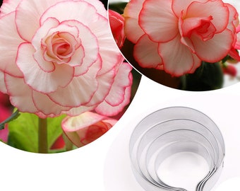 4 Size of Begonia Tuberous Petal Cutter Set Flower Cutters Cake Decorating Gumpaste Flower