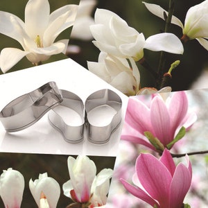 3 Size of Magnolia Petal Cutter Set Flower Cutters Cake Decorating Gumpaste Flower