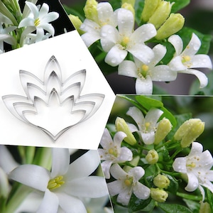 3 Size of Tuberose Petal Cutter Set Sugarcraft Cutters Cake Decorating Gumpaste Flower Cutter