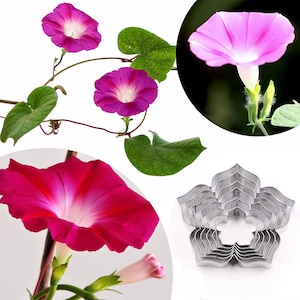 6 Size of Petunia Petal Cutter Set Flower Cutters Cake Decorating Gumpaste Flower