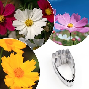 3 Size of Calliopsis Petal Cutter Set Flower Cutters Cake Decorating Gumpaste Flower