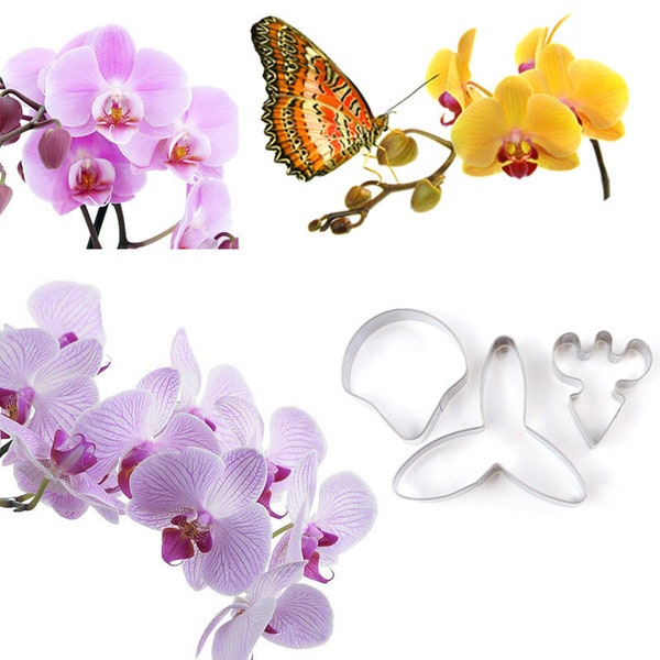 3 Size of Butterfly Orchid Petal Cutter Set Flower Cutters Cake Decorating Gumpaste Flower