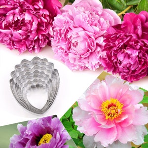 7 Size of Peony Petal Cutter Set Flower Cutters Cake Decorating Gumpaste Flower