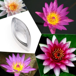 4 Size of Waterlily Petal Cutter Set Flower Cutters Cake Decorating Gumpaste Flower
