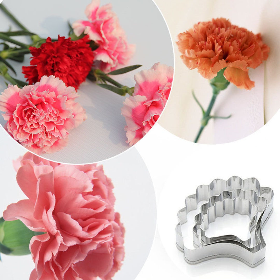 3 Size of Carnation Petal Cutter Set Flower Cutters Cake Decorating Gumpaste Flower Etsy