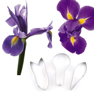 3 Size of Irises Petal Cutter Set Flower Cutters Cake Decorating Gumpaste Flower