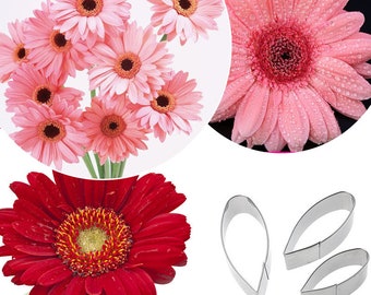 3 Size of Gerbera Daisy Petal Cutter Set Flower Cutters Cake Decorating Gumpaste Flower