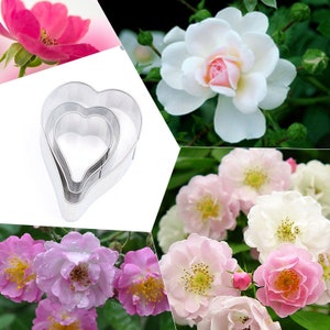 3 Size of Rosa Petal Cutter Set Flower Cutters Cake Decorating Gumpaste Flower