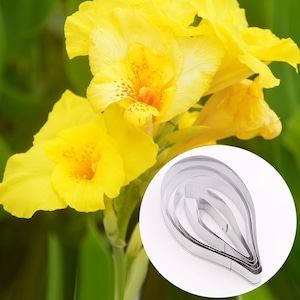 5 Size of Canna Petal Cutter Set Flower Cutters Cake Decorating Gumpaste Flower