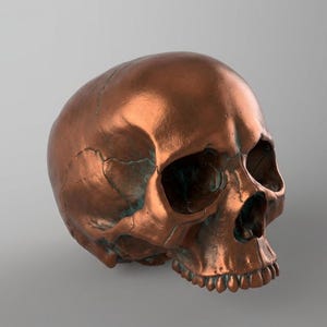 Puede incluir: Una escultura de calavera de color cobre con suturas y dientes visibles. La calavera tiene un acabado metálico con toques de turquesa en las grietas, creando un contraste llamativo. Esta pieza decorativa es una adición única a cualquier decoración.