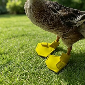 May include: A brown and white duck standing on grass wearing a pair of bright yellow protective footwear. The footwear consists of two separate yellow covers that encase the duck's feet, featuring adjustable straps to secure them in place.