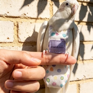 Puede incluir: Una cacatúa ninfa blanca que lleva un pañal para aves de color blanco con un patrón de lunares de colores. La prenda incluye un parche rectangular de color morado claro en el pecho con el texto paws&claws impreso en letras moradas.