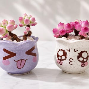 Può includere: Due piccole piante grasse in vasi di ceramica decorativi. Un vaso è lavanda con un design a faccina giocosa, l'altro è bianco con una faccina sorpresa. Le piante grasse hanno foglie bulbose rosa e verdi.