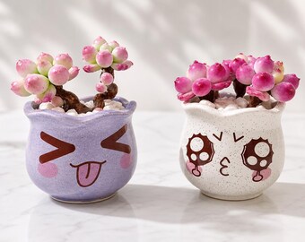 Kawaii Face Ceramic Planter with Handmade Air-Dry Clay Succulents, Artificial Cactus, Desk Shelf Accent, Gift for Plant Lovers