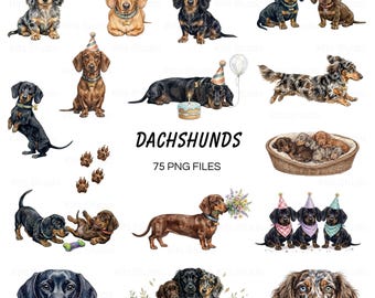 Aquarell-Dackel-Clipart (PNG), Dackel-Bilderpaket, animierte Geburtstagshunde, Aquarell-PNG, sofortiger Download